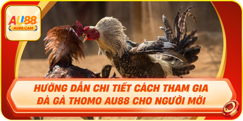 Hướng dẫn chi tiết cách tham gia đá gà thomo au88 cho người mới
